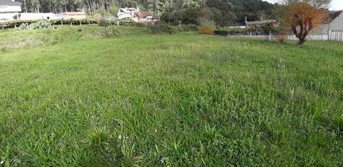 imagen 1 de Venta de terreno con viña en Mos (Pontevedra)