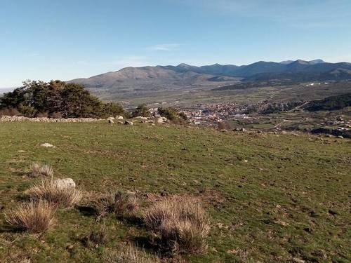 imagen 1 de Venta de finca con buen pasto en El Espinar (Segovia)