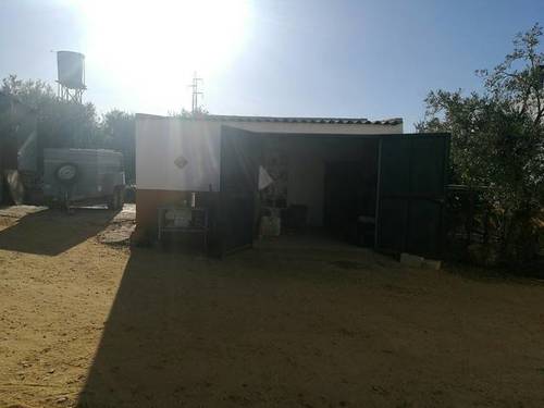 imagen 3 de Venta de finca con casa e instalaciones hípicas en Carmona (Sevilla)