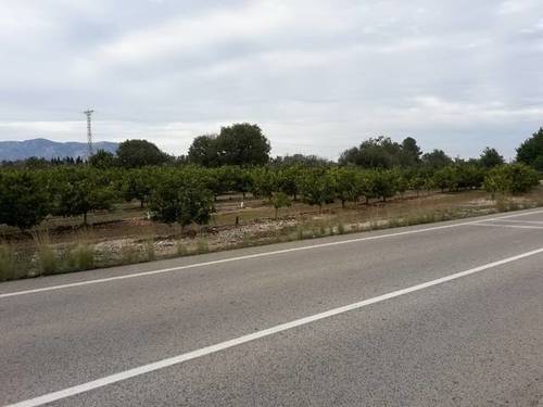 imagen 1 de Venta de finca de naranjos en Santa Bárbara (Tarragona)