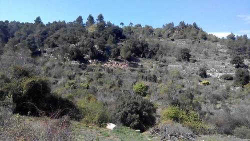 imagen 1 de Venta de fincas en la sierra La Torre de Fontaubella (Tarragona)