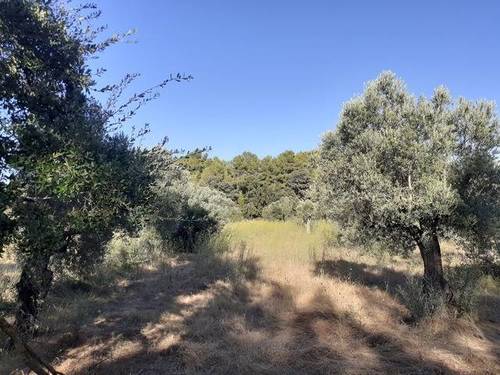 imagen 3 de Venta de finca de olivar en Horta de Sant Joan