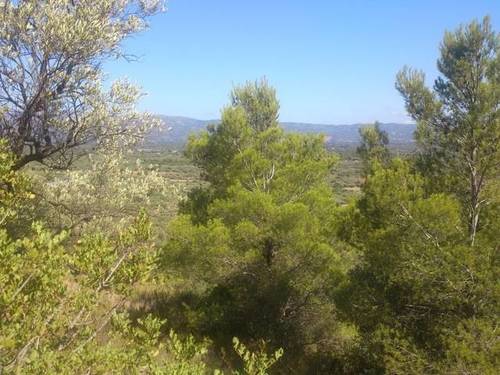imagen 2 de Venta de finca rústica con bonitas vistas en Tortosa (Tarragona)