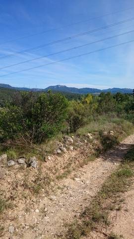 imagen 1 de Venta de terreno rústico en El Masroig (Tarragona)