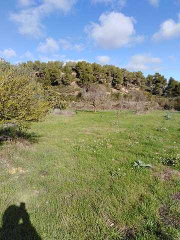 imagen 1 de Venta de casa rural con olivar en Esplugas de Francoli