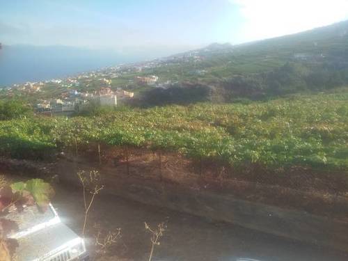 imagen 1 de Venta de finca con viñedo en Santa Úrsula (Tenerife)