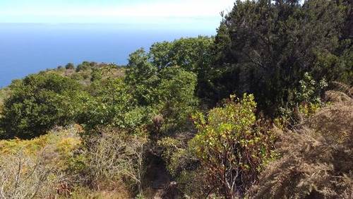 imagen 1 de Venta de terreno con bonitas vistas en Garachico (Tenerife)