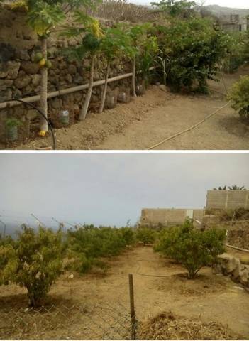 imagen 1 de Venta de casa rural con terreno en La Guancha (Tenerife)