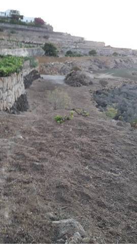 imagen 1 de Finca rústica bien comunicada en Güímar (Tenerife)