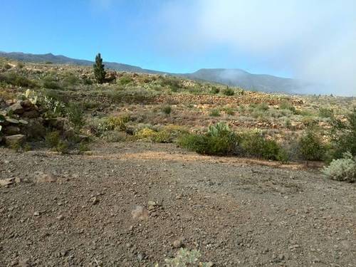 imagen 1 de Venta de finca rústica en Arico con vistas al mar y la montaña (Tenerife)