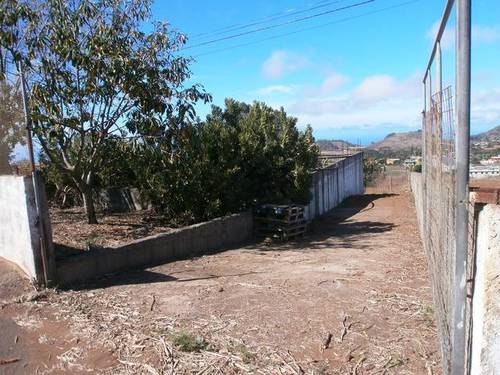 imagen 2 de Venta de terreno vallado con frutales en Tacoronte (Tenerife)