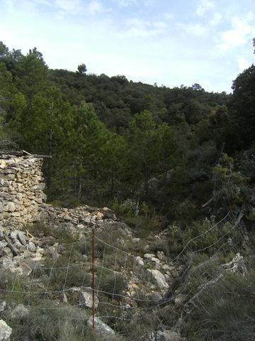 imagen 1 de Venta de finca rústica con pinar y truferas en Teruel