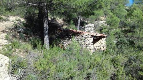 imagen 1 de Venta de finca con casa de aperos en Monroyo (Teruel)