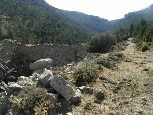 imagen 1 de Venta de finca de pinar, pastos y truferas en Teruel