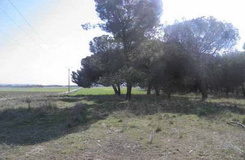 imagen 1 de Venta o alquiler de parcela en Alcazarén (Valladolid)