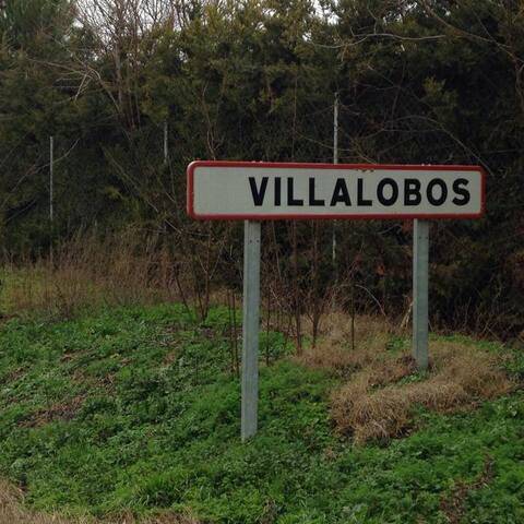 imagen 1 de Venta de terrenos en Villalobos (Zamora)