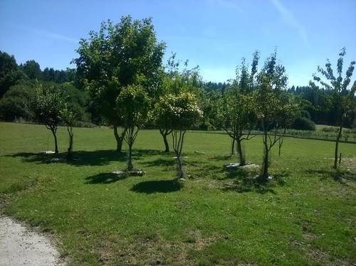 imagen 5 de Venta de casa rural con terreno en Ousa (Lugo)