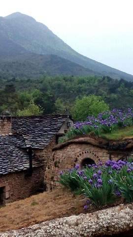 imagen 3 de Venta de granja ecológica con vivienda en Santa Cruz de La Seros  (Huesca)