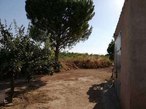 imagen 3 de Venta de terreno con casa en Albatana