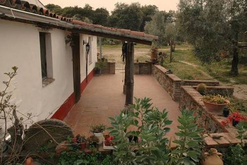 imagen 1 de Venta de finca con vivienda, luz y agua en Villaviciosa de Córdoba