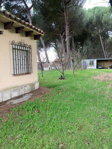 imagen 1 de Venta de  casa rural en Tordesillas (Valladolid)