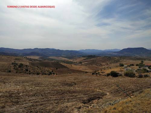 imagen 6 de Terrenos con Olivos en Álora/Valle de Abdalajis