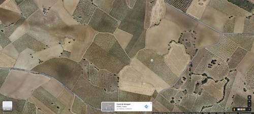 imagen 2 de Finca Rústica  - Terreno ecológico (0.9ha) en Castilla la Mancha