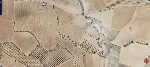 imagen 2 de Finca Rustica. Terreno ecológico arable en provincia de Toledo
