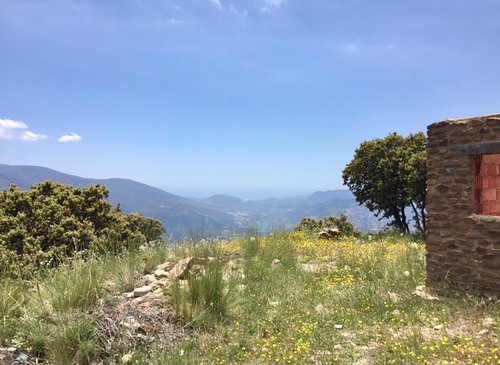 imagen 1 de Bonita finca en la Alpujarra con cortijo, buen acceso y agua