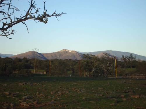 imagen 8 de Finca rústica con chalet en Sierra de Gata