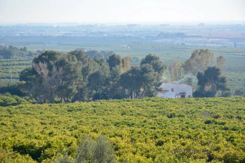 imagen 3 de Preciosa finca al Sur de Castellón