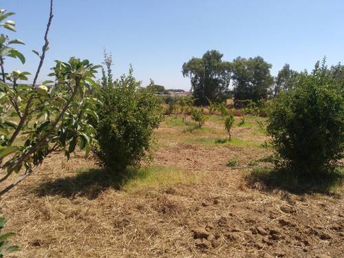 imagen 9 de Finca ecológica 5 ha con vivienda