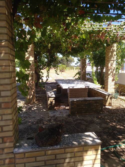 imagen 1 de Finca ecológica 5 ha con vivienda