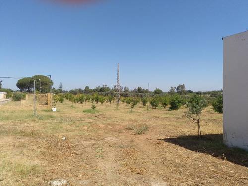 imagen 7 de Finca ecológica 5 ha con vivienda