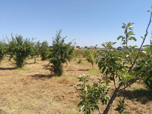 imagen 8 de Finca ecológica 5 ha con vivienda