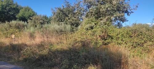 imagen 2 de Finca de 60 áreas en zona rural