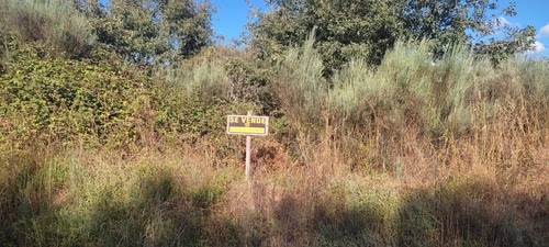 imagen 1 de Finca de 60 áreas en zona rural