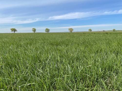 imagen 2 de ¡PARA ENTRAR A REGAR! Finca rústica de regadío con cultivo de alfalfa, derechos de PAC, equipada con Pivot Hipódromo marca BAUER y generador integrado.