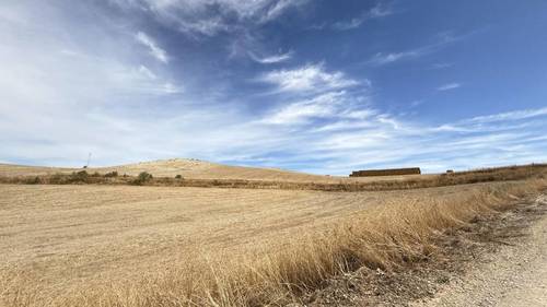 imagen 4 de CASA CORTIJO EN FINCA RÚSTICA DE 756 ha CON COTO DE CAZA Y GANADERÍA (SIERRA SUR SEVILLA)