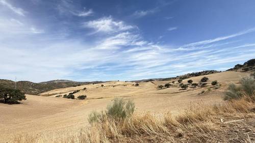 imagen 2 de CASA CORTIJO EN FINCA RÚSTICA DE 756 ha CON COTO DE CAZA Y GANADERÍA (SIERRA SUR SEVILLA)