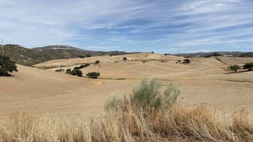 imagen 10 de CASA CORTIJO EN FINCA RÚSTICA DE 756 ha CON COTO DE CAZA Y GANADERÍA (SIERRA SUR SEVILLA)