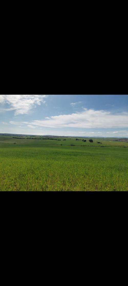 imagen 1 de Finca de 93 hectáreas de regadío