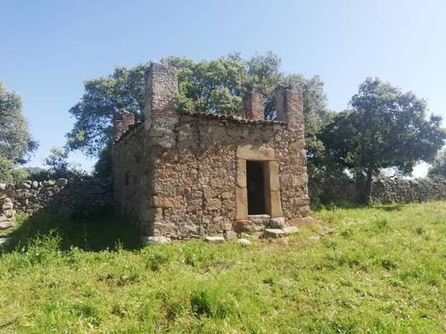 imagen 3 de PRADO en las faldas de Sierra de Montánchez