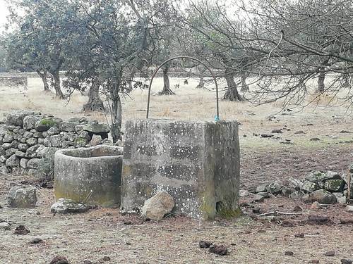 imagen 13 de PRADO en las faldas de Sierra de Montánchez