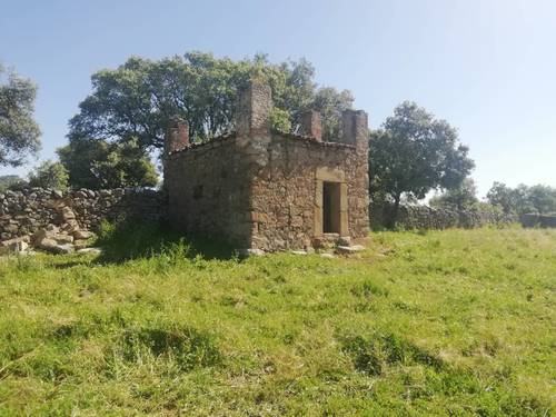 imagen 1 de PRADO en las faldas de Sierra de Montánchez