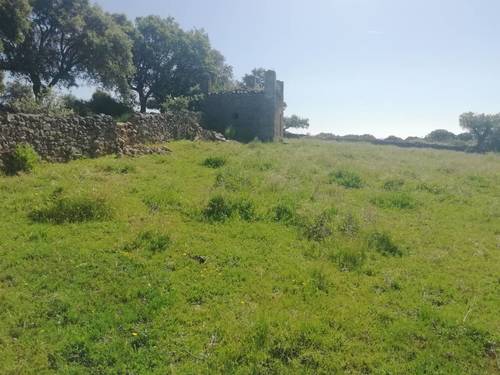 imagen 4 de PRADO en las faldas de Sierra de Montánchez