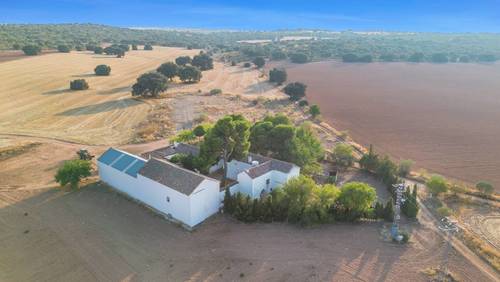 imagen 11 de Venta de finca de caza y agricultura Ciudad Real