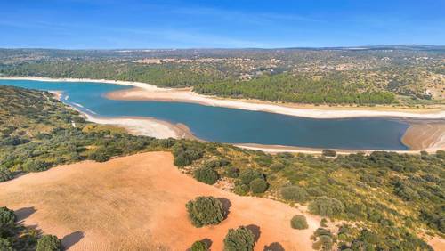 imagen 10 de Venta de finca de caza y agricultura Ciudad Real