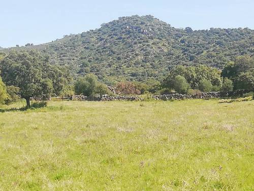 imagen 1 de Prado en las faldas de Sierra de Montánchez