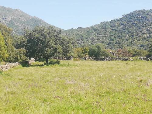 imagen 4 de Prado en las faldas de Sierra de Montánchez